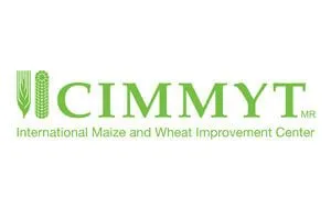 Sản phẩm cl cimmyt 1 qia91yui7fedsekftv7mj3wppm6zfs5oaifpznahkc — Công Ty TNHH Qualitex — MST 0317758794
