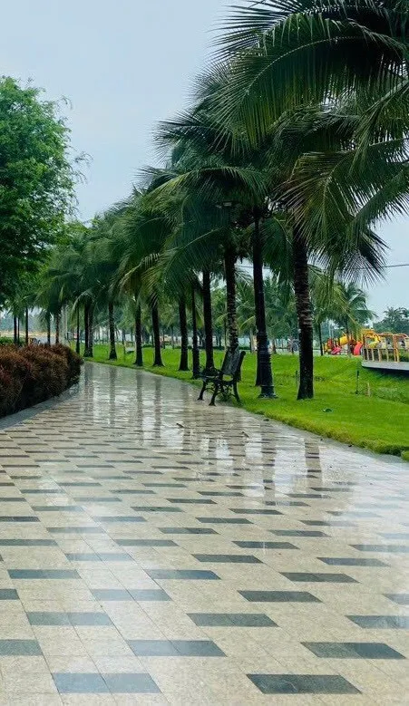 Sản phẩm 5fbf753624d88486ddc923 — Công Ty TNHH Đầu Tư Xây Dựng Tiến Lộc Phát — MST 0317760666