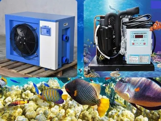 Sản phẩm may lam mat nuoc ho ca hai san icetech 533x400 — Công Ty TNHH Kỹ Thuật Lạnh Và Thiết Bị Công Nghệ Icetech — MST 0317763635