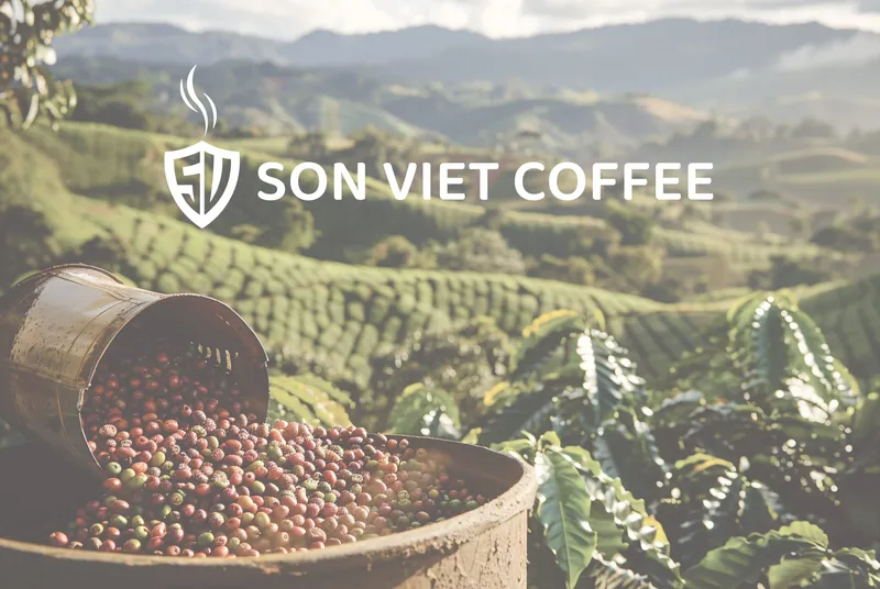 Sản phẩm son viet coffee bizbrand 56 2 — Công Ty TNHH Bizbrand — MST 0317766611