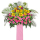 Sản phẩm Blossom Shine WM_80x.jpg?v=1695788426 — Đồng Phục Minh Hào - Công Ty TNHH SX TM May Mặc Minh Hào — MST 0317797458