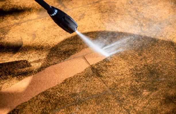 Sản phẩm TAYRUACN — Công Ty TNHH Hóa Chất Mercury — MST 0317816453