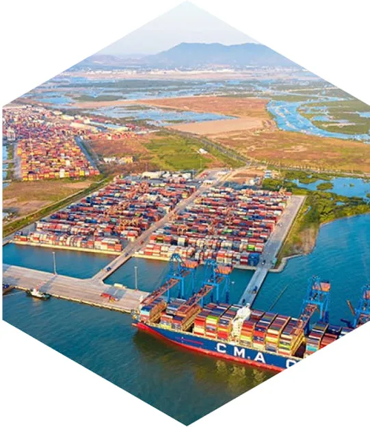 Sản phẩm VT 1 — Công Ty TNHH Hóa Chất Mercury — MST 0317816453