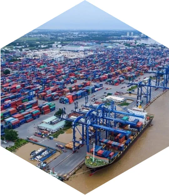 Sản phẩm VT 5 — Công Ty TNHH Hóa Chất Mercury — MST 0317816453