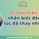 Sản phẩm dau nhot nha thy 05 dau hieu nhan biet 150x150 — Công Ty TNHH MTV TM DV Đại Hưng Thành — MST 0317830433