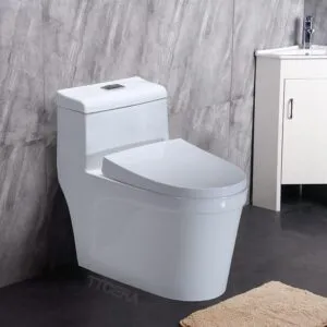 Sản phẩm bon cau 1 khoi cao cap ttcera bc006 80 300x300 — Thiết Bị Vệ Sinh TTCERA - Công Ty TNHH Thanh Thịnh Ceramic — MST 0317844965