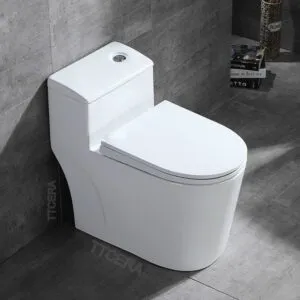 Sản phẩm bon cau 1 khoi ttcera bc022 07 300x300 — Thiết Bị Vệ Sinh TTCERA - Công Ty TNHH Thanh Thịnh Ceramic — MST 0317844965