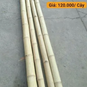Sản phẩm cay tre luong 2m 1 300x300 — Công Ty TNHH Tre Trúc Gia Khiêm — MST 0317850630