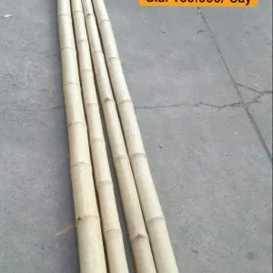 Sản phẩm cay tre luong 4m 1 300x300 — Công Ty TNHH Tre Trúc Gia Khiêm — MST 0317850630