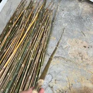 Sản phẩm ngon cay tam vong 1m 1 300x300 — Công Ty TNHH Tre Trúc Gia Khiêm — MST 0317850630