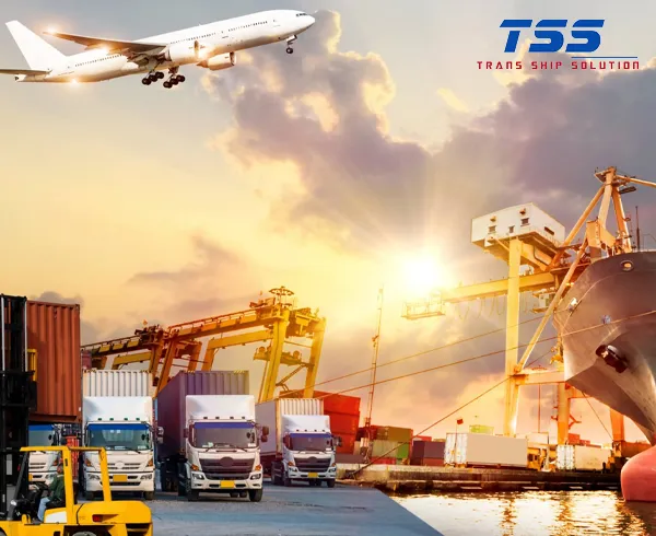 Sản phẩm gt2 — Vận Chuyển Trans Ship - Công Ty TNHH Trans Ship Solution — MST 0317869254