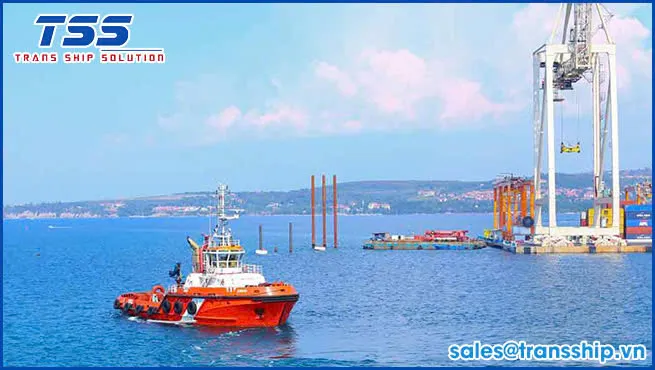 Sản phẩm z6855469458691_2b94571a62bfa0758b7cb3f3c387f0c2 — Vận Chuyển Trans Ship - Công Ty TNHH Trans Ship Solution — MST 0317869254
