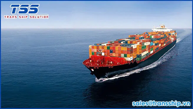 Sản phẩm z6855469478072_17c899ba667ba4340a901a948fe61e13 — Vận Chuyển Trans Ship - Công Ty TNHH Trans Ship Solution — MST 0317869254
