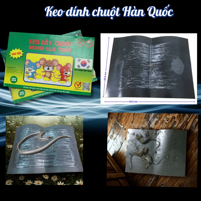 Sản phẩm tam keo dinh chuot — Công Ty TNHH Thương Mại Dịch Vụ Công Nghệ Và Môi Trường Hưng Thịnh — MST 0317970060