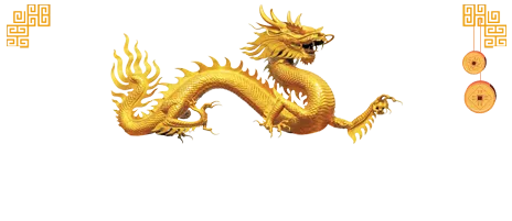 Sản phẩm qua tet xuan 2024 — Công Ty TNHH Quốc Tế GCK Group — MST 0317970737