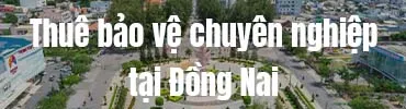 Sản phẩm bao ve tai ben tre — Công Ty Cổ Phần Dịch Vụ Bảo Vệ Chuyên Nghiệp Hoàng Long — MST 0317971635