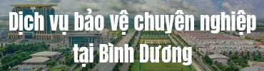 Sản phẩm bao ve tai binh duong — Công Ty Cổ Phần Dịch Vụ Bảo Vệ Chuyên Nghiệp Hoàng Long — MST 0317971635