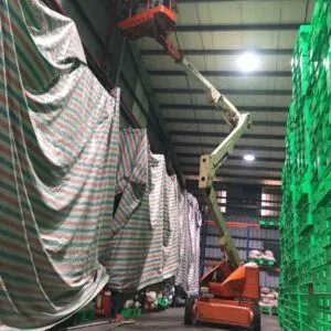 Sản phẩm z4613517302341_08354c186f606188706eebddc3855b6b 1 1 300x300 — Vệ Sinh Nhà Xưởng Nguyên Trung Green House - Công Ty TNHH TM Và DV Nguyên Trung
Green House — MST 0318056036