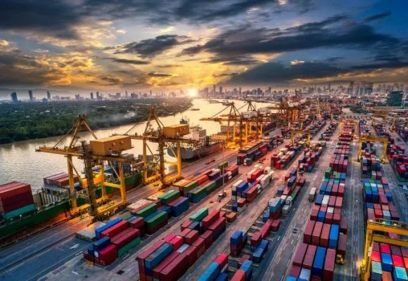 Văn phòng Trường Giang Logistics - Công Ty TNHH Vận Tải Trường Giang Logistics #580 — MST 0318061445