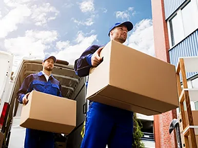 Sản phẩm 22 — Trường Giang Logistics - Công Ty TNHH Vận Tải Trường Giang Logistics — MST 0318061445