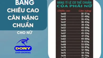 Sản phẩm bang chieu cao can nang chuan cho nujpg 390x220 — Xưởng áo Thun Dony - Công Ty TNHH Dony Việt Nam — MST 0318074099