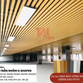 Sản phẩm z5427806300048_6b1cee3a59ccc98595c9c7bcb718e09b 5984 — Tấm Trần Talida - Công Ty TNHH Talida Việt Nam — MST 0318094306