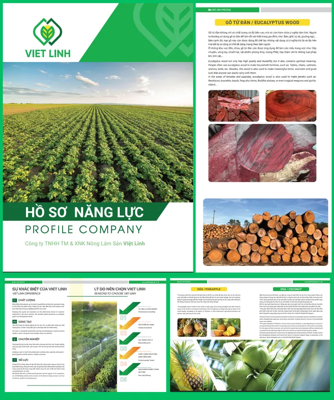 Sản phẩm 6 3 — Thiết Kế Website ánh Bình Minh - Công Ty TNHH Phát Triển Công Nghệ ánh Bình Minh — MST 0318198009