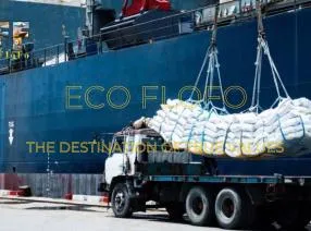 Sản phẩm 2aoboqzoeftzujcxqglvp2ey8ttnam9wbp5aauc0 1779907711 — Nông Sản ECO FLOFO - Công Ty TNHH Sản Xuất và Thương Mại Toàn Cầu ECO FLOFO — MST 0318237152