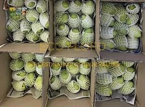 Sản phẩm 4390142961221497265861815537341969339746008640n 1729370785 — Nông Sản ECO FLOFO - Công Ty TNHH Sản Xuất và Thương Mại Toàn Cầu ECO FLOFO — MST 0318237152