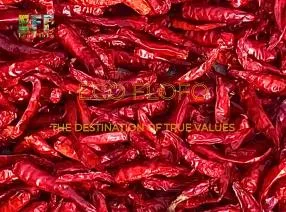 Sản phẩm 4400726421221492593241815534784696652056914705n 1 1729370718 — Nông Sản ECO FLOFO - Công Ty TNHH Sản Xuất và Thương Mại Toàn Cầu ECO FLOFO — MST 0318237152