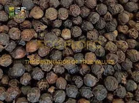 Sản phẩm 4409367691221507757161815534196915224961282281n 1 1729370480 — Nông Sản ECO FLOFO - Công Ty TNHH Sản Xuất và Thương Mại Toàn Cầu ECO FLOFO — MST 0318237152