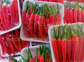 Sản phẩm 4423845701221566117301815532951058796241378570n 1729370107 — Nông Sản ECO FLOFO - Công Ty TNHH Sản Xuất và Thương Mại Toàn Cầu ECO FLOFO — MST 0318237152