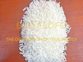 Sản phẩm 4483174531221623286021815535692421901656127299n 1729369042 — Nông Sản ECO FLOFO - Công Ty TNHH Sản Xuất và Thương Mại Toàn Cầu ECO FLOFO — MST 0318237152