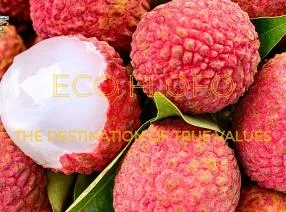 Sản phẩm 448495652122162984672181553562500051804741281n 1729368206 — Nông Sản ECO FLOFO - Công Ty TNHH Sản Xuất và Thương Mại Toàn Cầu ECO FLOFO — MST 0318237152