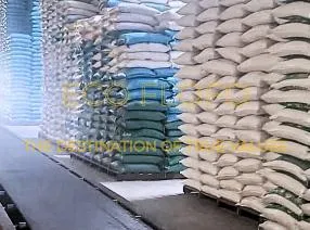 Sản phẩm 4495222181221660710541815533010771245814543880n 1729365584 — Nông Sản ECO FLOFO - Công Ty TNHH Sản Xuất và Thương Mại Toàn Cầu ECO FLOFO — MST 0318237152