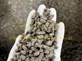 Sản phẩm 4497097861221666763401815532228457852031362494n 1729364978 — Nông Sản ECO FLOFO - Công Ty TNHH Sản Xuất và Thương Mại Toàn Cầu ECO FLOFO — MST 0318237152