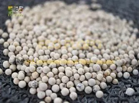 Sản phẩm 4505197421221694032801815536863229766943814059n 1729349827 — Nông Sản ECO FLOFO - Công Ty TNHH Sản Xuất và Thương Mại Toàn Cầu ECO FLOFO — MST 0318237152
