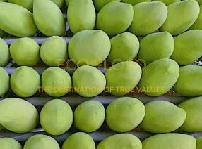 Sản phẩm 4517140011221714263901815537626285099289671069n 1729348549 — Nông Sản ECO FLOFO - Công Ty TNHH Sản Xuất và Thương Mại Toàn Cầu ECO FLOFO — MST 0318237152