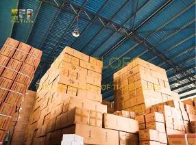Sản phẩm 452169725122171663168181553815537895563796131n 1729348172 — Nông Sản ECO FLOFO - Công Ty TNHH Sản Xuất và Thương Mại Toàn Cầu ECO FLOFO — MST 0318237152