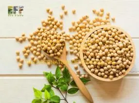 Sản phẩm 4531601461221745821621815537338038843079700617n 1729347371 — Nông Sản ECO FLOFO - Công Ty TNHH Sản Xuất và Thương Mại Toàn Cầu ECO FLOFO — MST 0318237152
