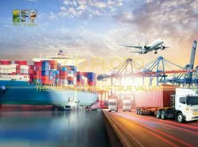 Sản phẩm 4537491031221758643621815536293582152647502994n 1729346870 — Nông Sản ECO FLOFO - Công Ty TNHH Sản Xuất và Thương Mại Toàn Cầu ECO FLOFO — MST 0318237152