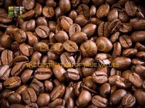 Sản phẩm 4538696691221764053341815536563639578285296479n 1729345764 — Nông Sản ECO FLOFO - Công Ty TNHH Sản Xuất và Thương Mại Toàn Cầu ECO FLOFO — MST 0318237152