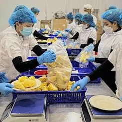 Sản phẩm company profile 1 1728533202 — Nông Sản ECO FLOFO - Công Ty TNHH Sản Xuất và Thương Mại Toàn Cầu ECO FLOFO — MST 0318237152