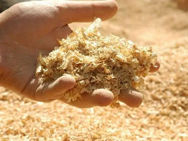 Sản phẩm mun cua — Than Đá Ngọc Khải Anh - Công Ty TNHH Thương Mại Dịch Vụ Ngọc Khải Anh — MST 0318323468