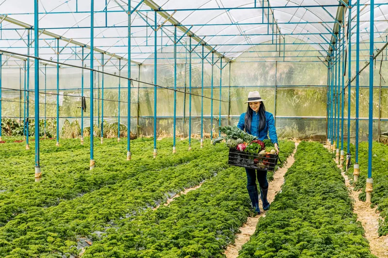 Sản phẩm bg2 min scaled — Công Ty TNHH Thương Mại Xuất Nhập Khẩu Sunshine Group — MST 0318382174