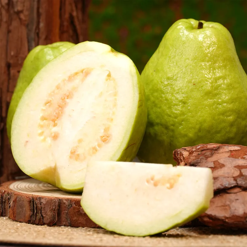 Sản phẩm Guava_white_2 — Công Ty TNHH Thương Mại Xuất Nhập Khẩu Sunshine Group — MST 0318382174