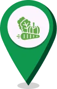 Sản phẩm pin main — Công Ty TNHH Thương Mại Xuất Nhập Khẩu Sunshine Group — MST 0318382174