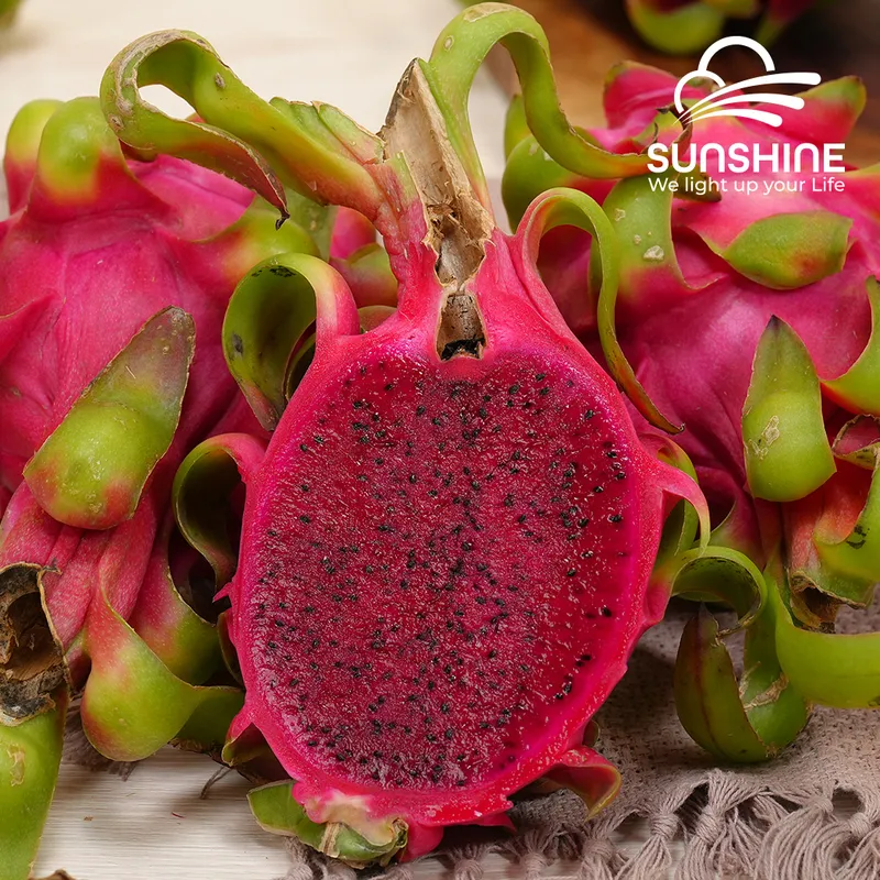 Sản phẩm Thumnail_Dragonfruit_red_1 — Công Ty TNHH Thương Mại Xuất Nhập Khẩu Sunshine Group — MST 0318382174