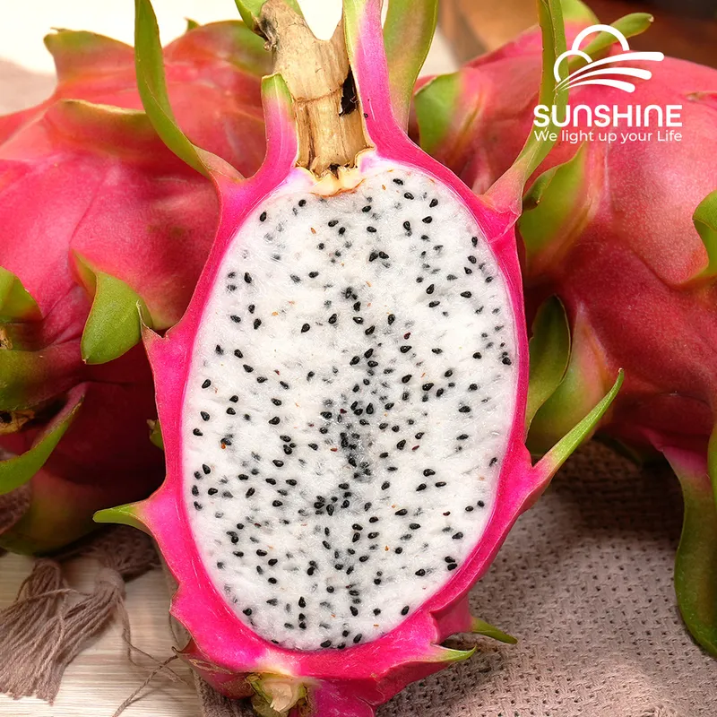 Sản phẩm Thumnail_Dragonfruit_White_3 — Công Ty TNHH Thương Mại Xuất Nhập Khẩu Sunshine Group — MST 0318382174