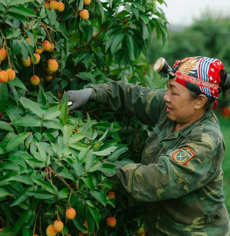 Sản phẩm why 2 min — Công Ty TNHH Thương Mại Xuất Nhập Khẩu Sunshine Group — MST 0318382174